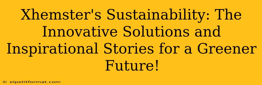 Xhemster's Sustainability: The Innovative Solutions and Inspirational Stories for a Greener Future!